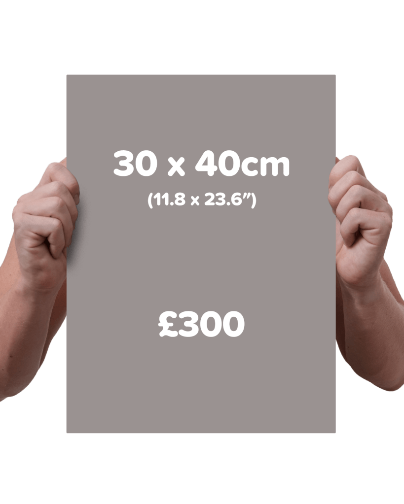 Shaymus Art Shaymus Art shaymus-art-shaymus-art