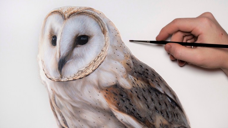 oil painting beginners how to detailed wildlife portrait