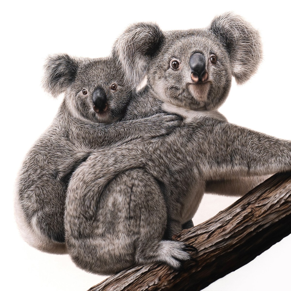 'Hitchhiker' Original Artwork