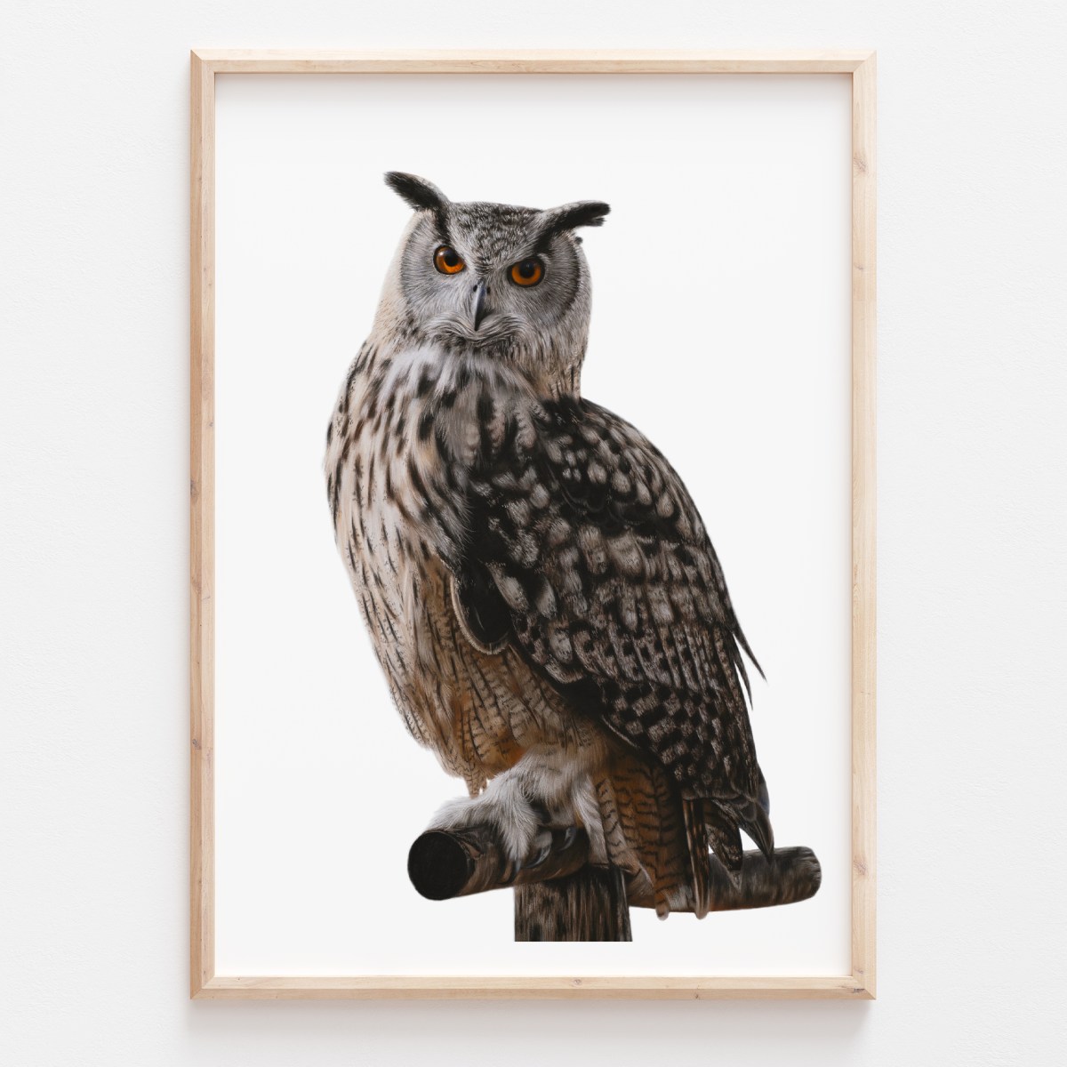 'Eurasian Eagle-Owl' Limited Edition Print