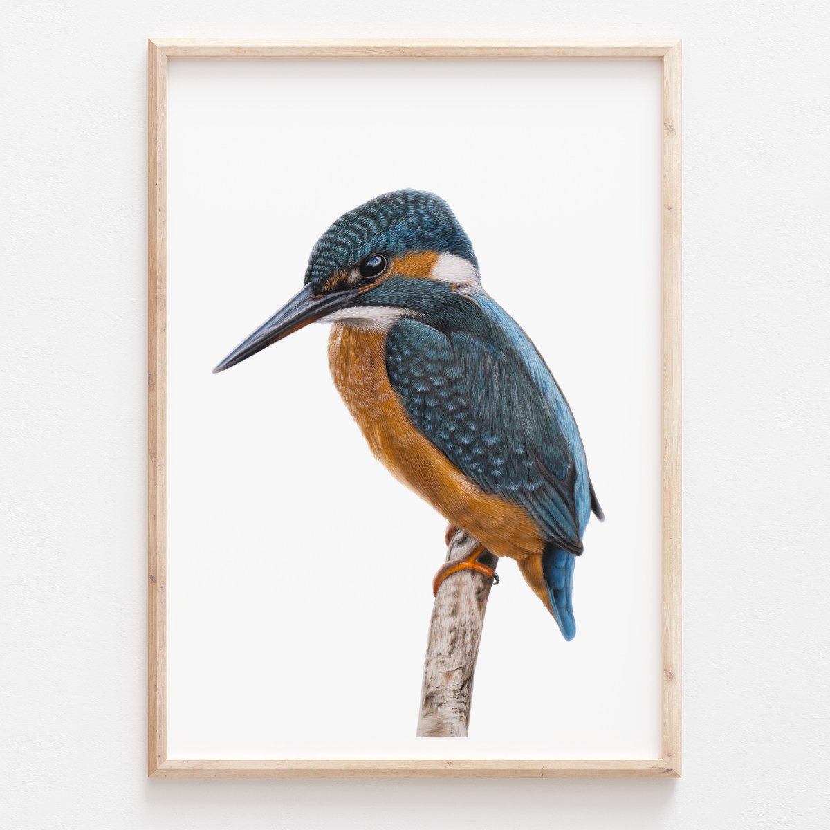 'Common Kingfisher' Limited Edition Print